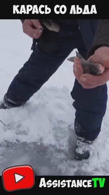 Секрет ловли карася со льда! Рыбалка зимой на карася!  ?
