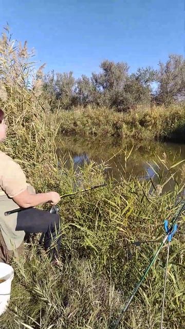 Получаем витамин Д смотреть онлайн