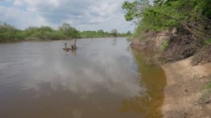 Рыбалка, сом на донки, поставушки на щуку, три дня на ре