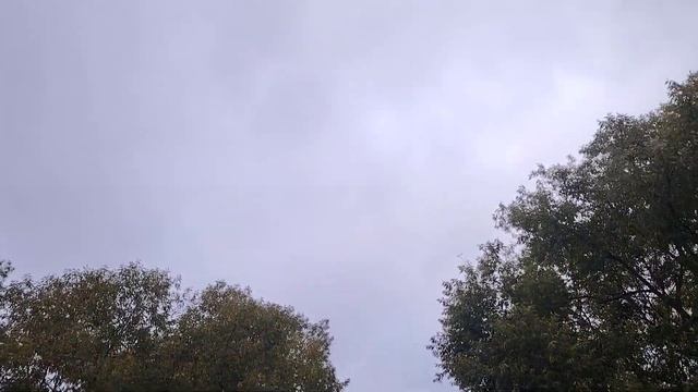 Лобня. Уютный берег пруда. Осень. смотреть онлайн