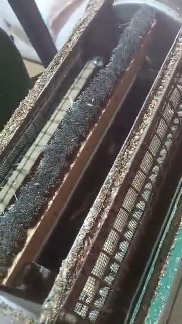 Аппарат для очистки семян мос 1А смотреть онлайн