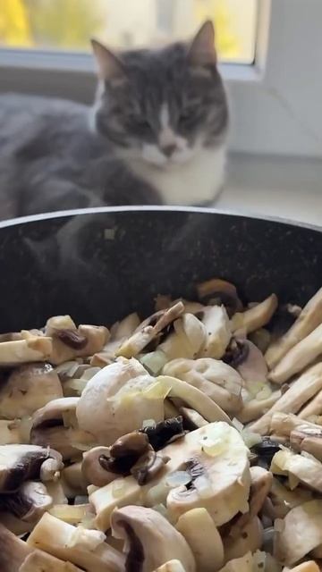 Такую гречку вы точно не ели! смотреть онлайн