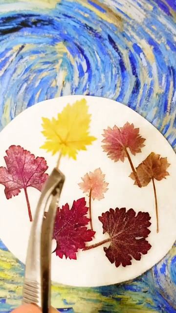 Набор мини листьев. Сухоцветы для творчества #сухоцве? смотреть онлайн