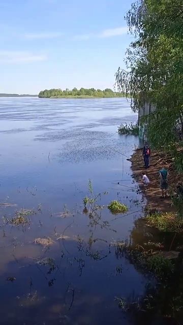 Рыбаки кайфуют на камском берегу|#shorts #respect #travel #russia #са смотреть онлайн