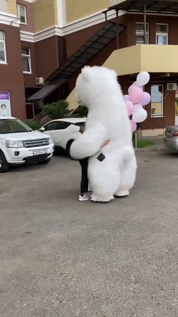 Волшебные праздники наш Мишка готов провести по Всей ? смотреть онлайн