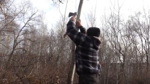 Эвенкийская таёжная вешалка за 2 минуты