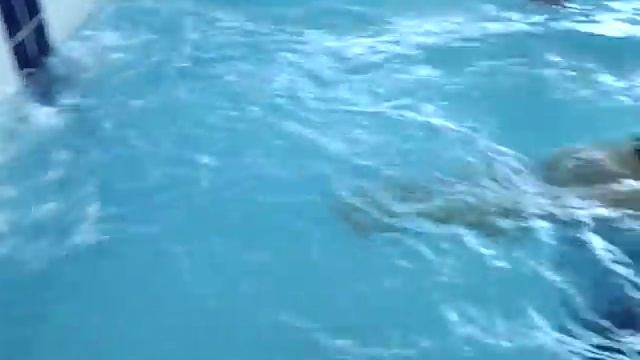 Юбилейный Мастерс смотреть онлайн