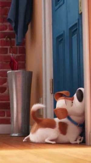 Мульт Тайная жизнь домашних животных 😄