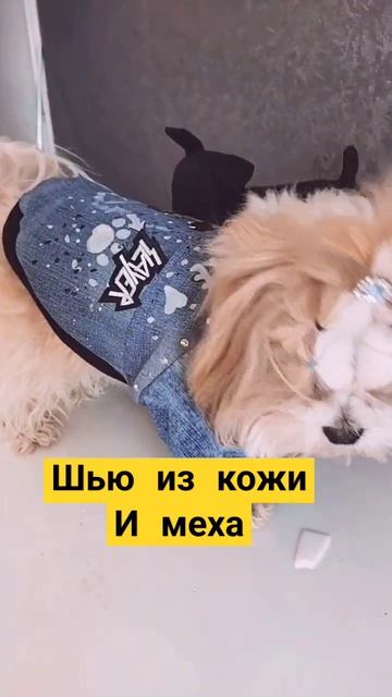 шью из кожи и меха для🌏🐕 #ручная_работа смотреть онлайн