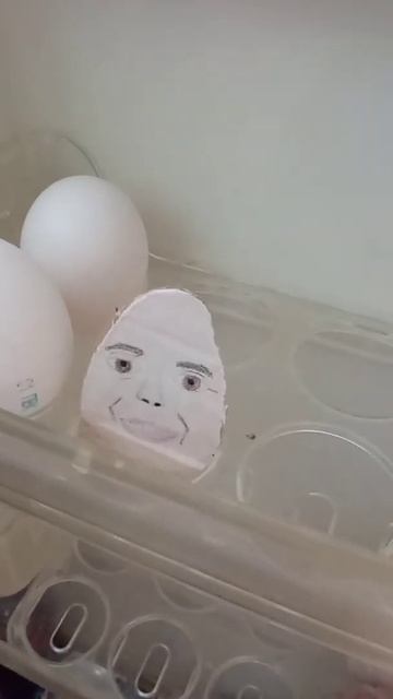 Шо вы делаете в моëм холодильнике🤨 смотреть онлайн