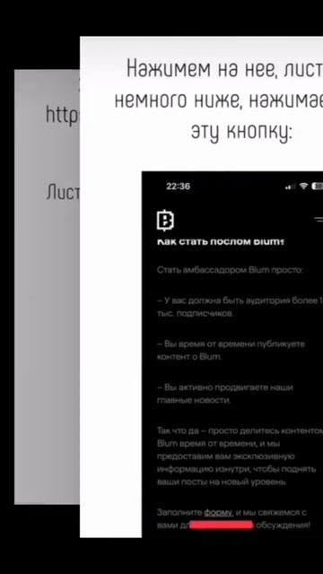 Гайд как увеличить количество инвайтов в #blum #crypto #блум смотреть онлайн