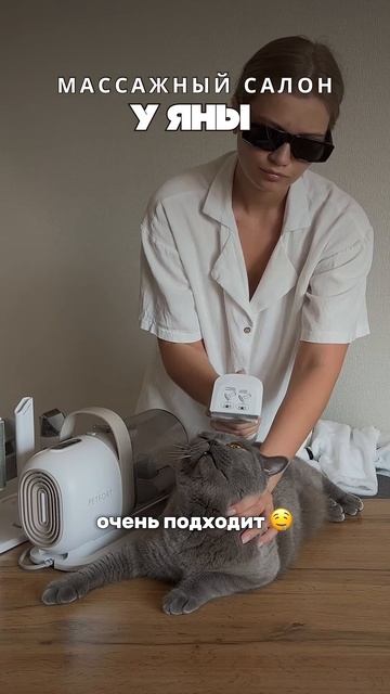 ✨ арт. OZON 1672397290 смотреть онлайн