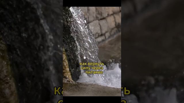 Живая вода, живая пища: еда, которая даёт энергию #shorts # смотреть онлайн