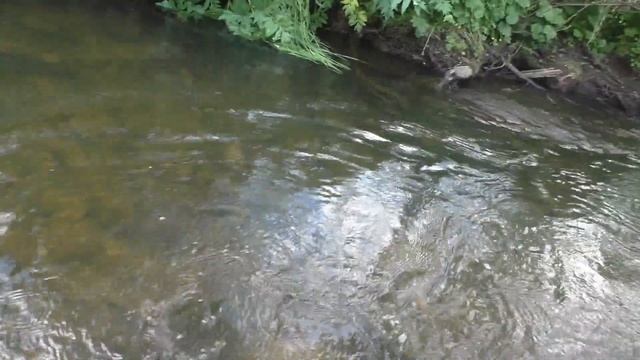 69 Серия Срыв Рыбы Хариус на Рыбной Яме Обманка Удочка ?