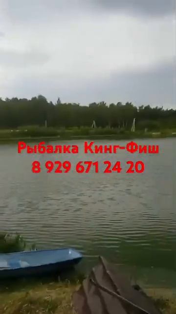 Лучшая вечерняя обстановка. Онлайн обстановка на водо