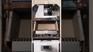 Не разжигается котел Протерм Пантера.Причина в мембра