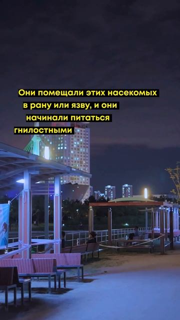 Больше интересного в Telegram канале! Ссылка в комментари? смотреть онлайн