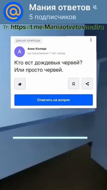 Ответы майл часть 53 #майлру #мем #мемы #shorts #приколы ❗в? смотреть онлайн