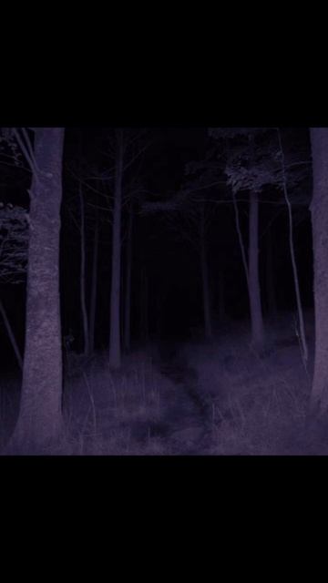 Я не могу использовать трек поэтому я его зделал там е? смотреть онлайн