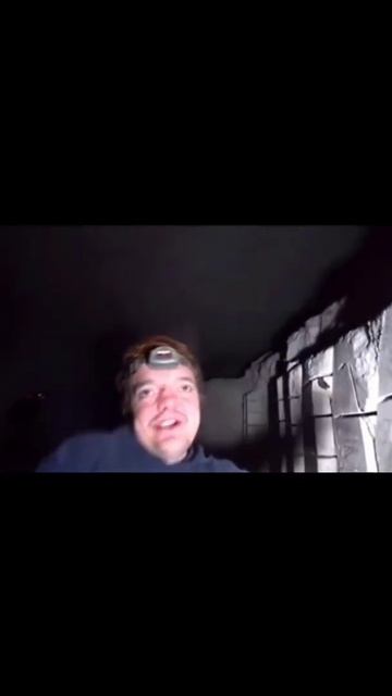 Супер Сус ест летающая мышь #shorts смотреть онлайн