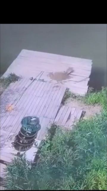 Случай на рыбалке Short