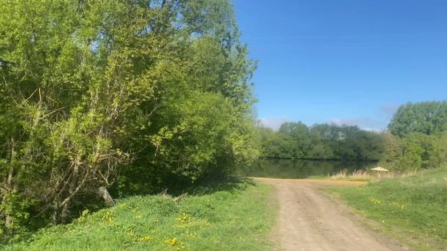 природа смотреть онлайн