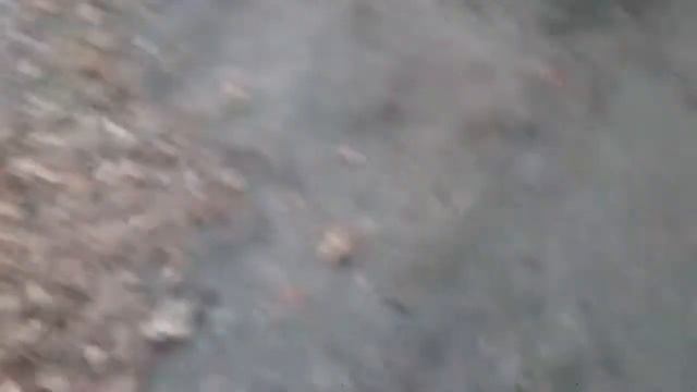 Как я гуляю на Хэллоуин? смотреть онлайн