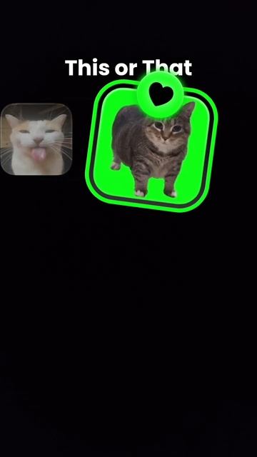 мял смотреть онлайн