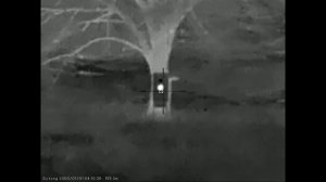 Пристрелка прицела Sytong XM 06-50LRF, тест баллистического к?