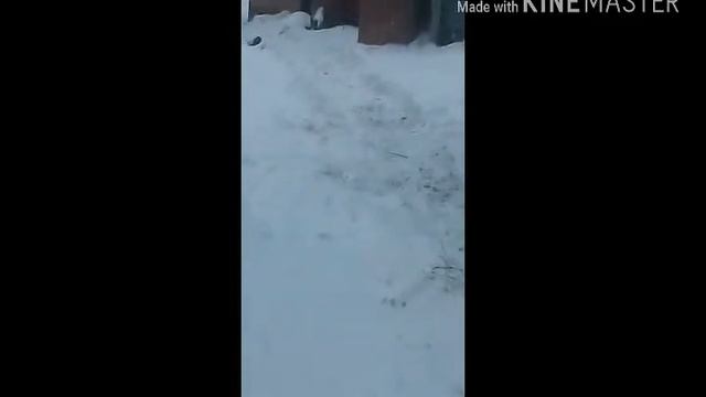 Репортаж канала экшен TV СНОСЯТ здания смотреть онлайн