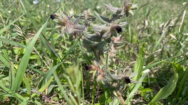 ПРИРОДА смотреть онлайн