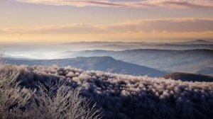 Легкий способ сбросить вес часть 4  Аллен Карр Аудиокн?