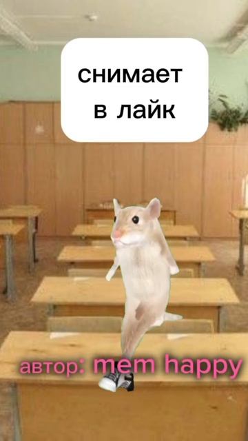 а кто есть у вас в классе?#котики#мемныекоты#коты#класс смотреть онлайн