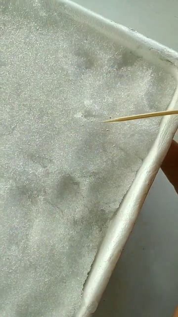 как посеять петунию? #дача #цветыизсемян #сад смотреть онлайн