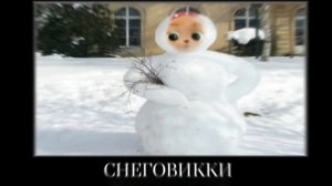 Кошечки собачки + ШИЗА =