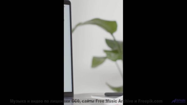 Эта мелодия генерируется вашим мозгом в реальном времени - попробуйте! - Hudson River Dreamboat -- T