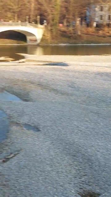 Рыбалка,центр Мюнхена.@polsveta50