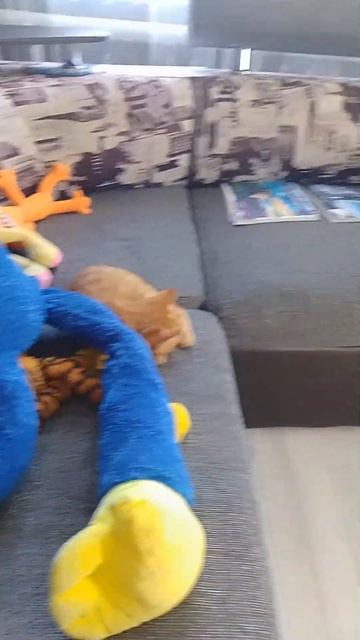 у меня есть гусь! смотреть онлайн