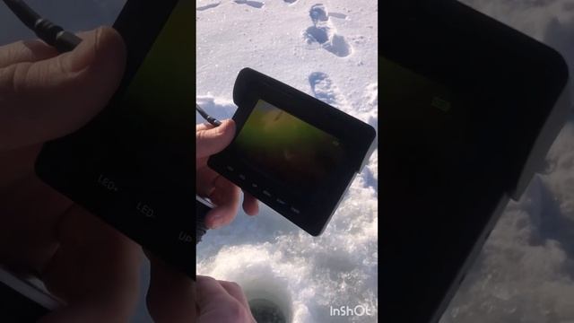 Съемка подводного царства и зимняя рыбалка в глухой д?