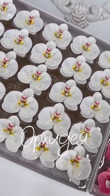 Мыльные розы оптом в Казахстане! На видео Бокс для нач? смотреть онлайн