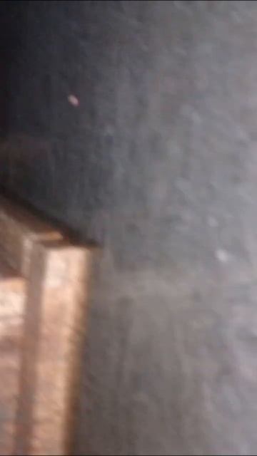 #гидроуровень #армирование #бетон #стройка #дача #газоб смотреть онлайн