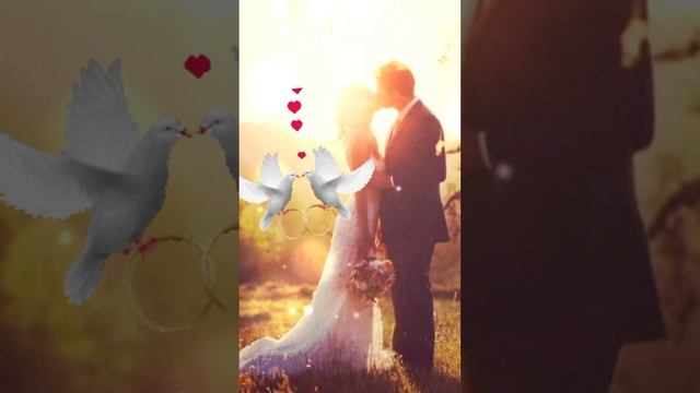 С ДНЁМ СВАДЬБЫ! 💝 Молодожёнам #открытка #свадьба #поже смотреть онлайн