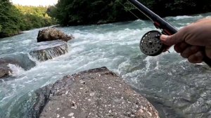 Ловля форели в горных реках Кавказа  Часть 1
