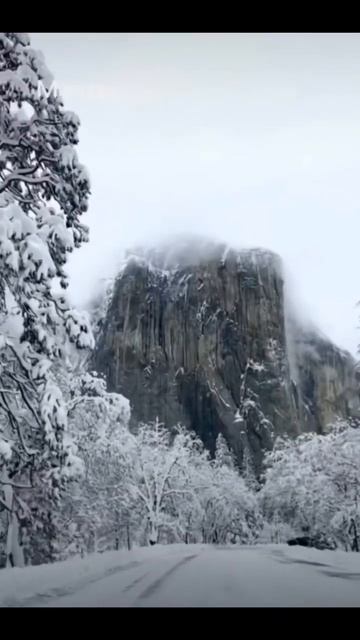 Мечты сбываются главное верить в СЕБЯ ✨ смотреть онлайн