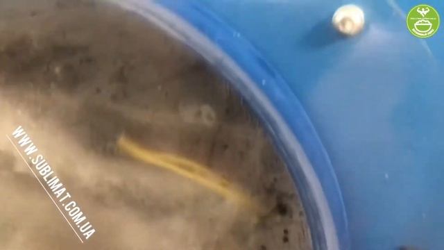 Сублимируем сливу в бытовой сублимационной сушилке смотреть онлайн