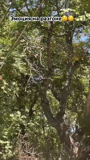 Качеля просто бомбическая 💣🔥 смотреть онлайн