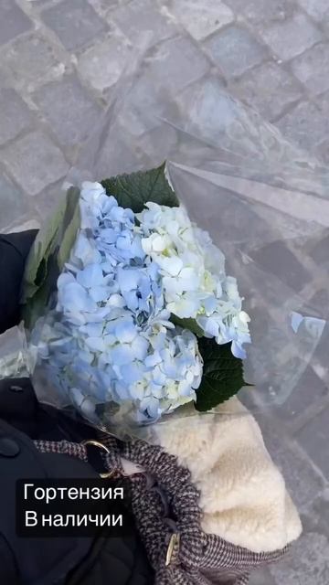 Свежая гортензия! Все детали у нашего консультанта