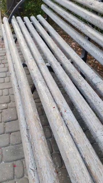 Август... Астры #shorts смотреть онлайн