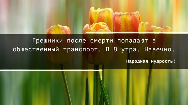 😍13.12.2022. Смешные цитаты, афоризмы и высказывания😍 смотреть онлайн