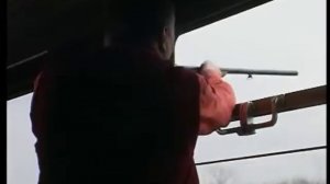 Жириновский стреляет из ружья в поезде по курам.